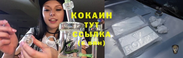 спайс Дмитриев