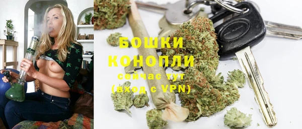 спайс Дмитриев