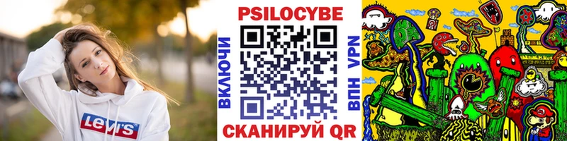Галлюциногенные грибы Psilocybine cubensis  купить наркоту  гидра как войти  Олёкминск 